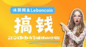 法国闲鱼Leboncoin跨境电商教程：环境邮箱电话解决产品上传及流量，悄悄赚钱【揭秘】-网创学习资源