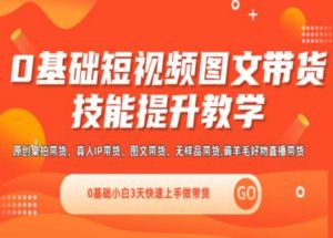 0基础短视频图文带货实操技能提升教学(直播课+视频课),0基础小白3天快速上手做带货-网创学习资源