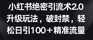 小红书绝密引流术2.0升级玩法，破封禁，轻松日引100+精准流量【揭秘】-网创学习资源
