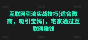 互联网引流实战技巧(适合微商，吸引宝妈)，宅家通过互联网赚钱-网创学习资源