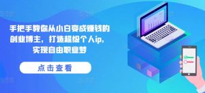 手把手教你从小白变成赚钱的创业博主，打造超级个人ip，实现自由职业梦-网创学习资源