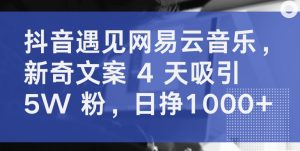 抖音遇见网易云音乐，新奇文案 4 天吸引 5W 粉，日挣1000+【揭秘】-网创学习资源