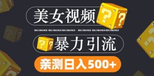 搬运tk美女视频全网分发，日引s粉300+，轻松变现，不限流量不封号【揭秘】-网创学习资源