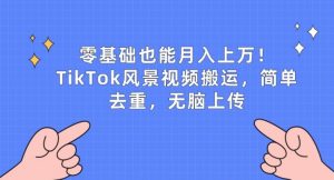 零基础也能月入上w，TikTok风景视频搬运，简单去重，无脑上传【揭秘】-网创学习资源