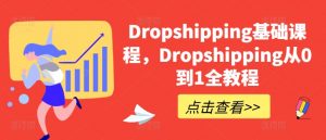 Dropshipping基础课程，Dropshipping从0到1全教程-网创学习资源