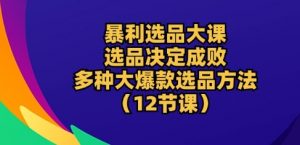 暴利选品大课：选品决定成败，教你多种大爆款选品方法(12节课)-网创学习资源