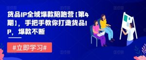 货品IP全域爆款陪跑营【第4期】，手把手教你打造货品IP，爆款不断-网创学习资源