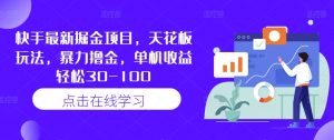 快手最新掘金项目，天花板玩法，暴力撸金，单机收益轻松30-100-网创学习资源