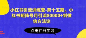 小红书引流训练营-第十五期，小红书矩阵号月引流80000+到微信方法论-网创学习资源