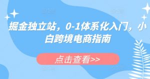 掘金独立站，0-1体系化入门，小白跨境电商指南-网创学习资源