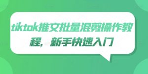 tiktok推文批量混剪操作教程，新手快速入门-网创学习资源
