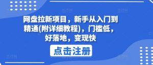 网盘拉新项目，新手从入门到精通(附详细教程)，门槛低，好落地，变现快-网创学习资源