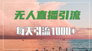 抖音快手视频号全平台通用，无人直播引流法，超暴力引流1000+高质量精准创业粉【揭秘】-网创学习资源