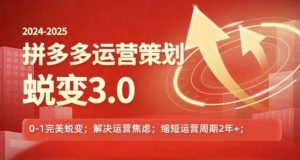 2024-2025拼多多运营策略蜕变3.0，0~1完美蜕变，解决信息焦虑-网创学习资源