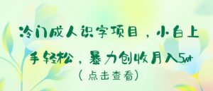 冷门成人识字项目，小白上手轻松，暴力创收月入5w+【揭秘】-网创学习资源
