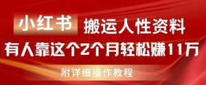 小红书搬运人性资料，有人靠这个2个月轻松赚11w，附教程【揭秘】-网创学习资源