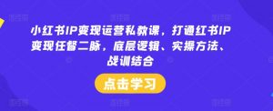 小红书IP变现运营私教课，打通红书IP变现任督二脉，底层逻辑、实操方法、战训结合-网创学习资源