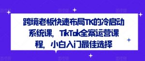 跨境老板快速布局TK的冷启动系统课，TikTok全案运营课程，小白入门最佳选择-网创学习资源