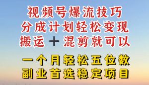 视频号爆流技巧，分成计划轻松变现，搬运 +混剪就可以，一个月轻松五位数稳定项目【揭秘】-网创学习资源
