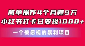 简单操作4个月赚9w，小红书打卡日变现1k，一个被忽视的暴力项目【揭秘】-网创学习资源