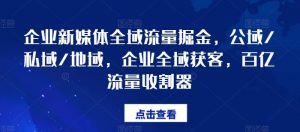 企业新媒体全域流量掘金，公域/私域/地域，企业全域获客，百亿流量收割器-网创学习资源
