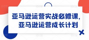 亚马逊运营实战必修课，亚马逊运营成长计划-网创学习资源