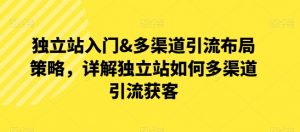 独立站入门&多渠道引流布局策略，详解独立站如何多渠道引流获客-网创学习资源