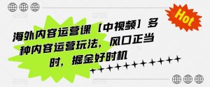 海外内容运营课【中视频】多种内容运营玩法，风口正当时，掘金好时机-网创学习资源