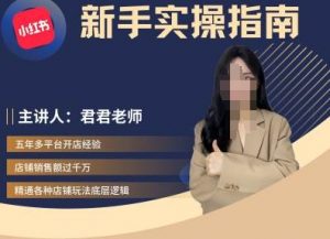 君君-小红书电商从入门到精通，新手实操指南-网创学习资源