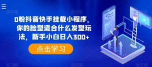 0粉抖音快手挂载小程序，你的脸型适合什么发型玩法，新手小白日入300+【揭秘】-网创学习资源