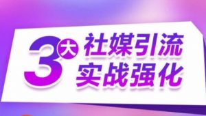3大社媒引流实战强化，多渠道站外引流，高效精准获客，订单销售额翻倍增长-网创学习资源