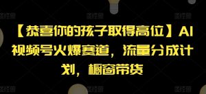 【恭喜你的孩子取得高位】AI视频号火爆赛道，流量分成计划，橱窗带货【揭秘】-网创学习资源