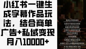 小红书一键生成字幕作品玩法，结合商单广告+私域变现月入1w+【揭秘】-网创学习资源