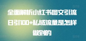 全面解析小红书图文引流日引100+私域流量是怎样做到的【揭秘】-网创学习资源