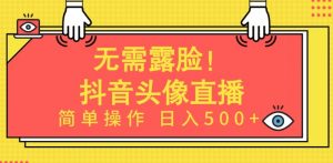 无需露脸，Ai头像直播项目，简单操作日入500+【揭秘】-网创学习资源