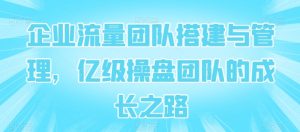 企业流量团队搭建与管理，亿级操盘团队的成长之路-网创学习资源