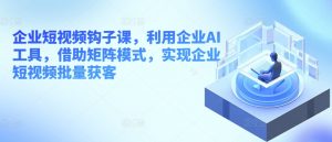 企业短视频钩子课，利用企业AI工具，借助矩阵模式，实现企业短视频批量获客-网创学习资源