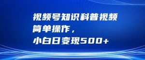 视频号知识科普视频，简单操作，小白日变现500+【揭秘】-网创学习资源