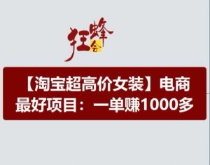 淘宝超高价女装项目，电商最好赛道，一单赚1000多-网创学习资源