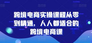 跨境电商实操课程从零到精通，人人都适合的跨境电商课-网创学习资源