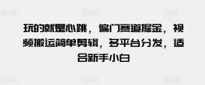 玩的就是心跳，偏门赛道掘金，视频搬运简单剪辑，多平台分发，适合新手小白【揭秘】-网创学习资源