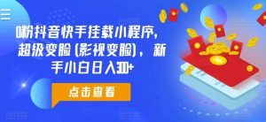 0粉抖音快手挂载小程序，超级变脸(影视变脸)，新手小白日入300+【揭秘】-网创学习资源