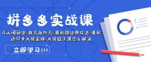 拼多多实战课：万人团玩法/截流自然流/最新强付费打法/最新原价卡大促..-网创学习资源