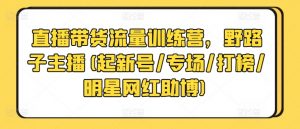 直播带货流量训练营，野路子主播(起新号/专场/打榜/明星网红助博)-网创学习资源