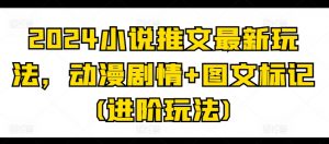 2024小说推文最新玩法，动漫剧情+图文标记(进阶玩法)-网创学习资源