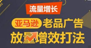 亚马逊流量增长-老品广告放量增效打法，循序渐进，打造更多TOP listing​-网创学习资源