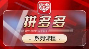 2024拼多多系列课，【基础】【运营】【活动】【推广】【玩法】5大模块-网创学习资源