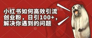 小红书如何高效引流创业粉，日引100+，解决你遇到的问题【揭秘】-网创学习资源