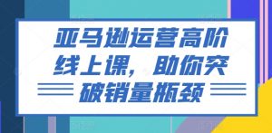 亚马逊运营高阶线上课，助你突破销量瓶颈-网创学习资源