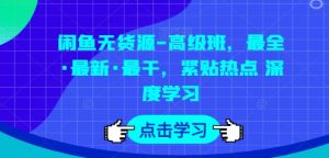 闲鱼无货源-高级班，最全·最新·最干，紧贴热点 深度学习-网创学习资源